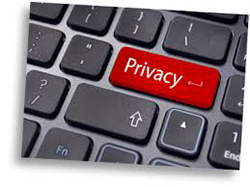 Disclaimer and Privacy